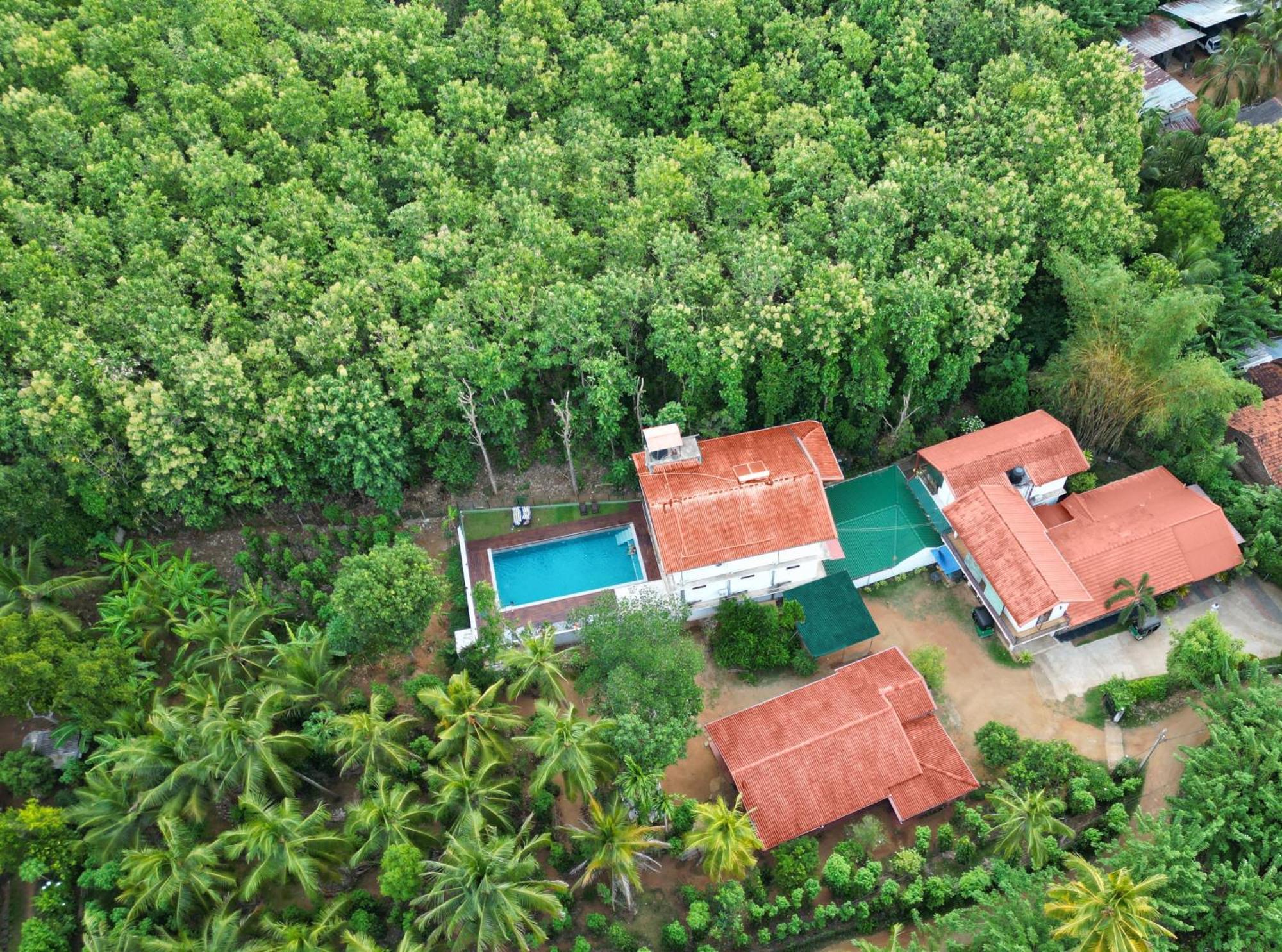 Nature House