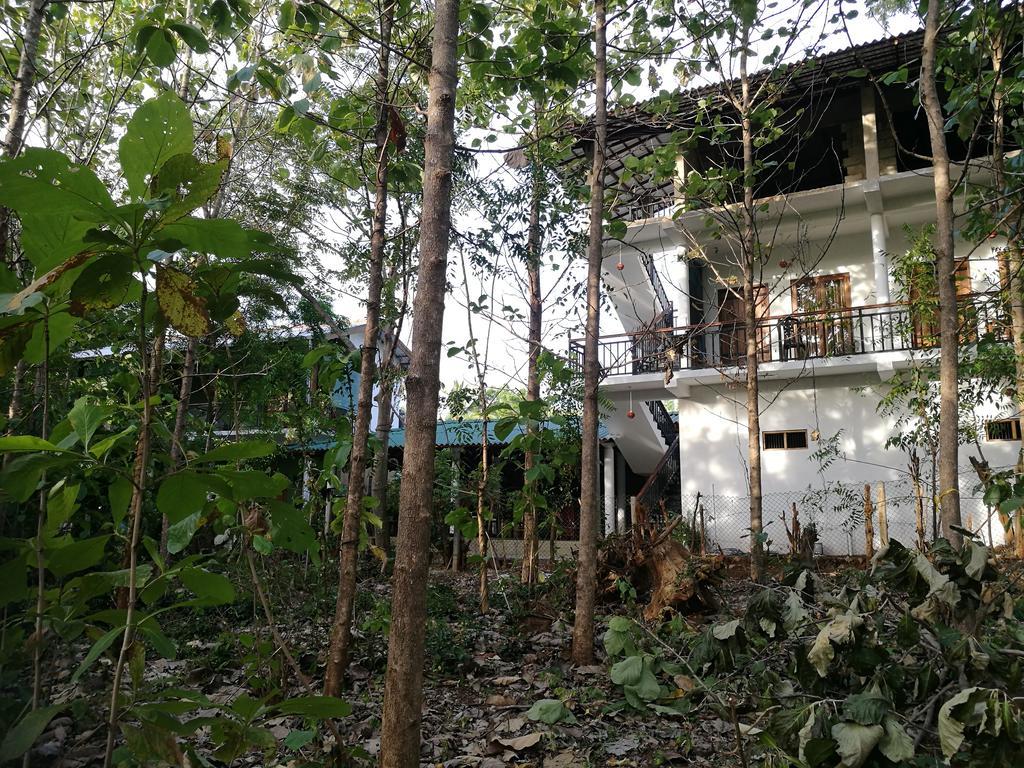 Nature House Гостевой дом Удавалаве