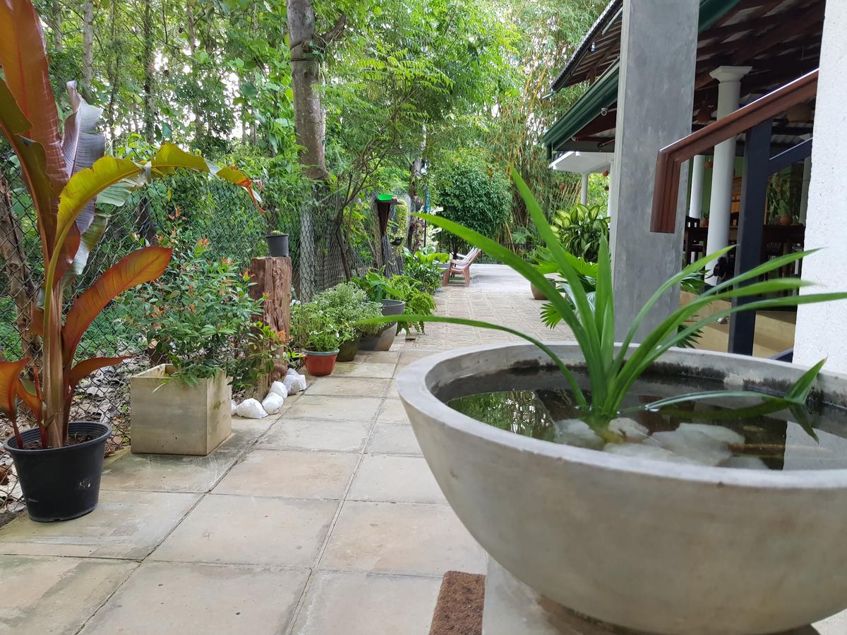 Nature House Гостевой дом